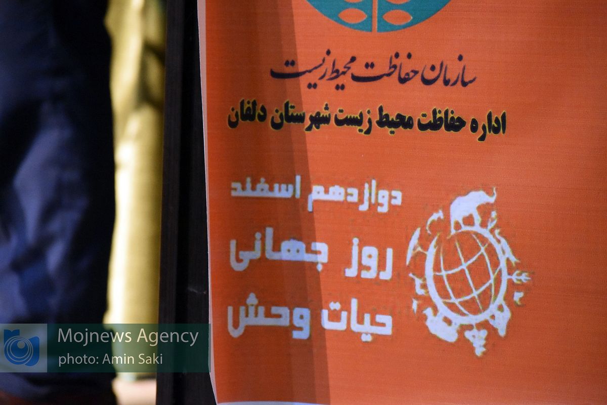 روز حیات وحش در دلفان