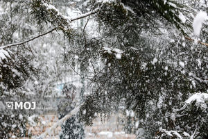 موج دوم بارش‌های سیلابی نیمه جنوبی کشور را در بر می‌گیرد