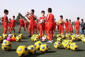 شرکت بیش از 2500 جوان و نوجوان در کلاس‌های فوتبال و والیبال طرح تابستانه