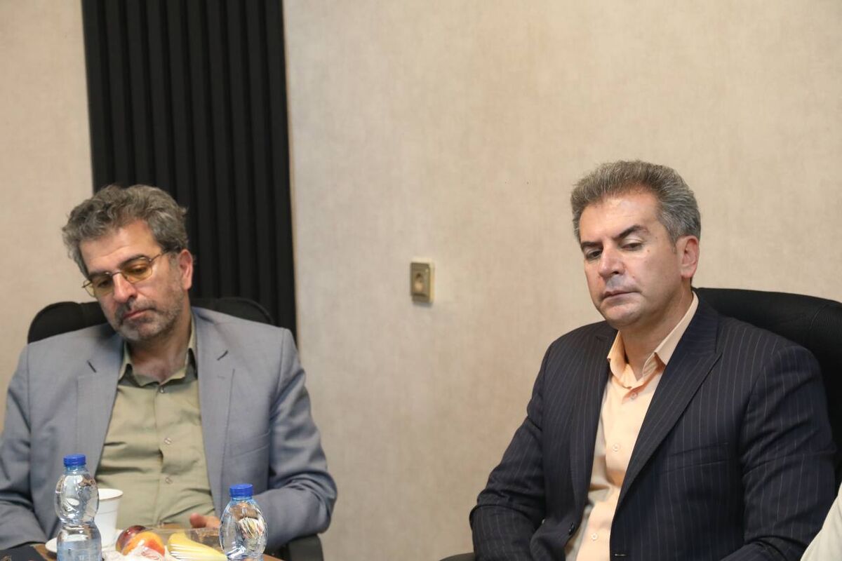 سیدین