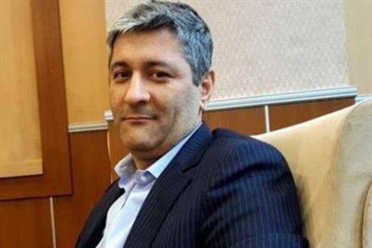 مدیر اقتصادی و توسعۀ سرمایه‌گذاری ایمیدرو