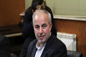 کوچکی نژاد: کارنامه مناطق آزاد قابل قبول نیست