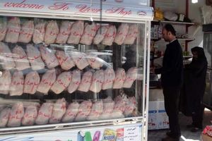 کاهش قیمت مرغ در آستانه عید فطر / کنترل بازار توسط مرغ‌های منجمد