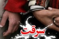 کاهش 2 درصدی انواع سرقت در شاهین شهر