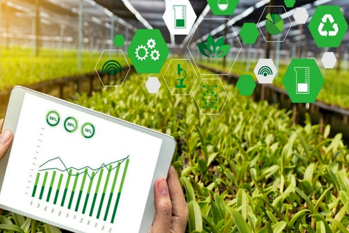 کشاورزی-هوشمند