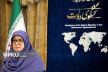سخنگوی دولت عبور از ناترازی برق تابستان را حاصل مشارکت مردم و دستگاه‌ها دانست