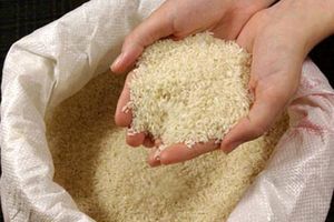 اهدای ۴۰ تن برنج توسط یک خیر به منظور تامین سبد غذایی خانواده ها