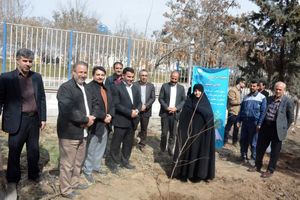 ۴ اصله نهال مزین به نام شهیدان غرس شد