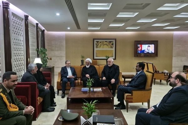 وزیر خارجه ایران وارد هند شد