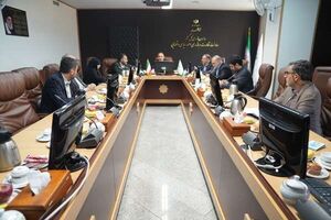 سازمان بازرسی درباره تعهدات خودروسازان در طرح جوانی جمعیت توضیحاتی داد 