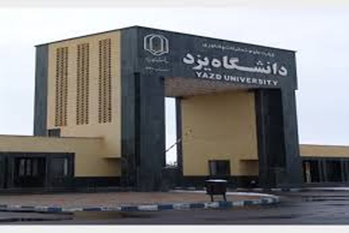 دانشگاه یزد