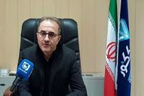 فعالیت ۳۶ گروه نظارتی دامپزشکی ایلام در عید قربان