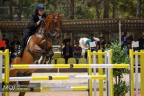 مسابقات پرش با اسب جام زنده یاد سرهنگ نشاطی