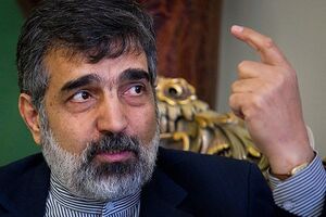 بدعهدی ‌ها در برجام باعث شد ایران به توانایی‌های خود بازگردد/ در آینده تولیدکننده سوخت نیروگاهی خواهیم بود 