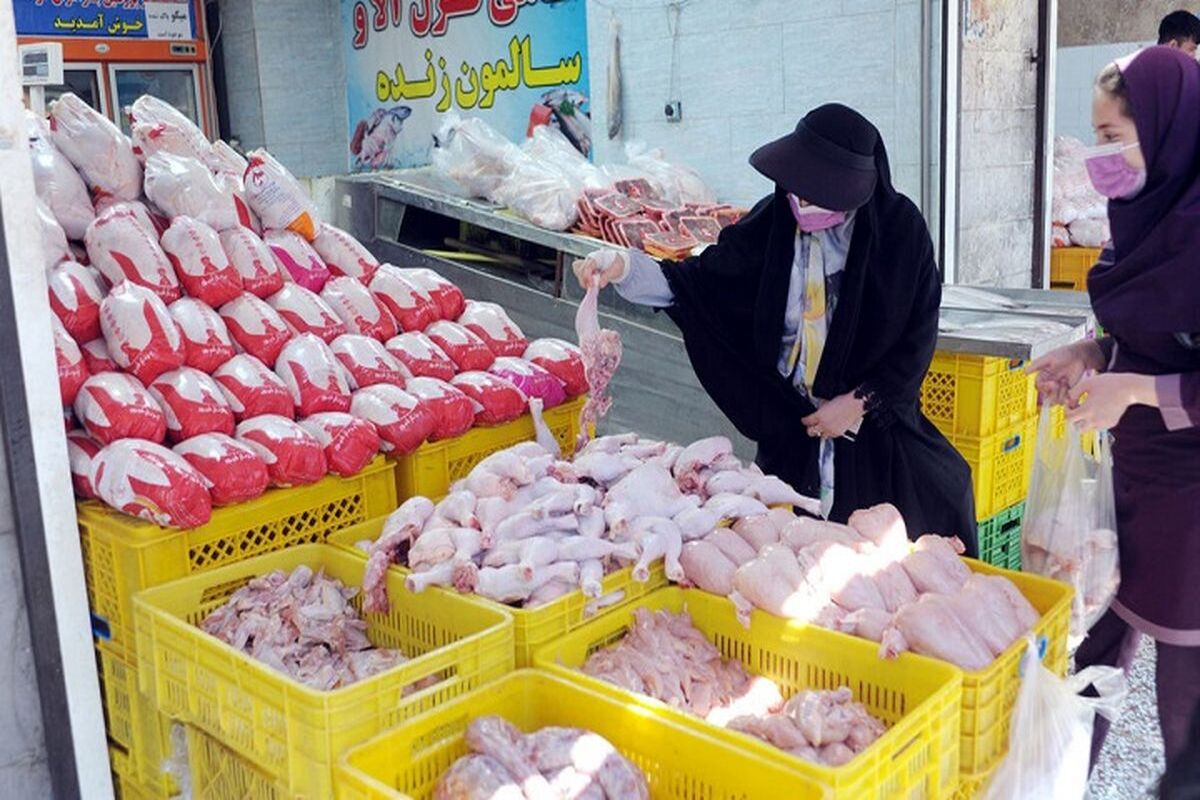 قیمت+مرغ