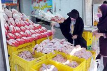 تحقق ماهیانه ۱۳۰ میلیون قطعه جوجه ریزی، بازار مرغ می‌تواند به تعادل برسد