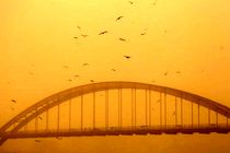 علت انتشار دود در اهواز آتش سوزی نیزارهای هورالعظیم عراق است/انجام مکاتبه با عراق جهت ارسال بالگرد اطفای حریق