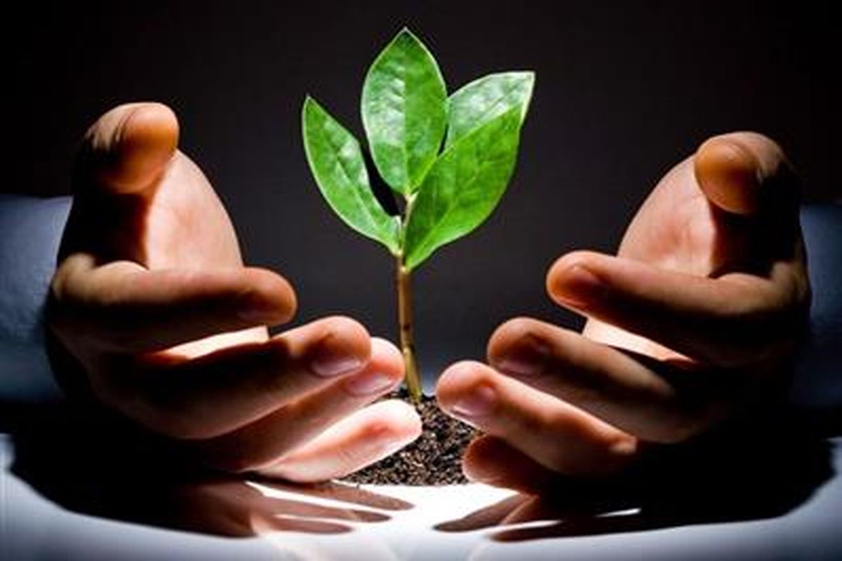 بانک مهر ایران