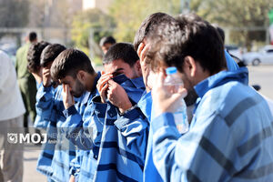 لحظه سرقت برخی از سارقینی که امروز توسط پلیس دستگیر شدند + فیلم