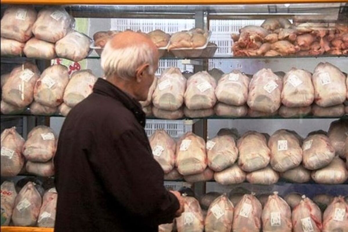 مرغ منجمد