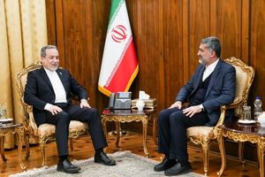 سرکنسول ایران در نجف اشرف با عراقچی دیدار کرد