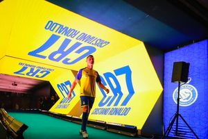 برای درو کردن جام‌ها به النصر آمده‌ام