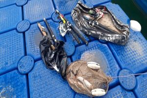 کشف و ضبط 18 قبضه سلاح شکاری/ جمع آوری دام های هوایی در مازندران