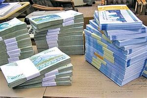 پرداخت تسهیلات  صندوق کارآفرینی به ۶۶۰ متقاضی در خراسان رضوی