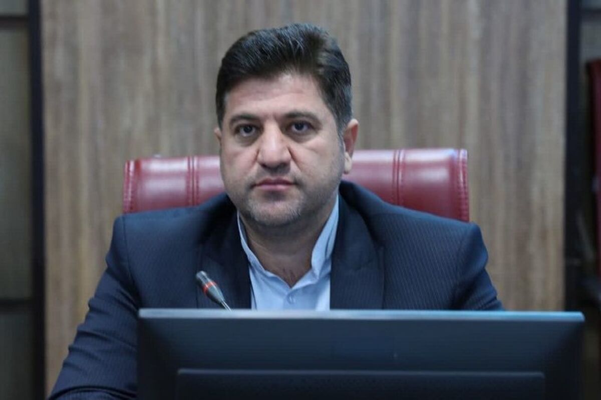 شریفی