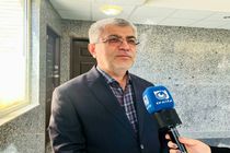 پرداخت تسهیلات بانکی استان در سال گذشته‌ رقم بسیار ناچیزی بود