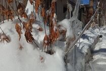 تداوم سرما و بخبندان در کردستان تا دوشنبه هفته آینده/بابارشانی سردترین نقطه استان