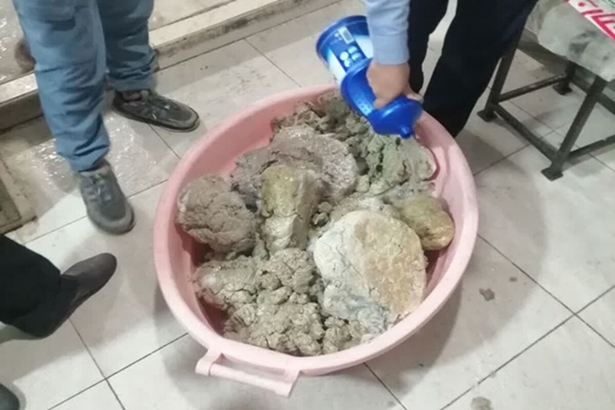 گوشت چرخ کرده فاسد