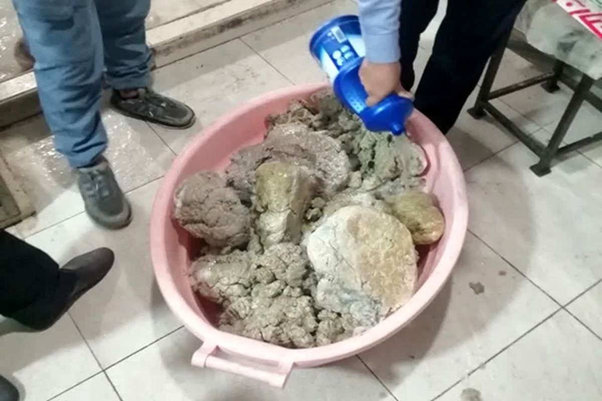 گوشت چرخ کرده فاسد