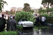 به دلیل رعد و برق و باد شدید در اردیبهشت‌ماه ۹ نفر کشته شدند