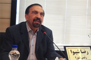 صنعت خودرو بدون رقابتی شدن مقاومتی نمی‌شود