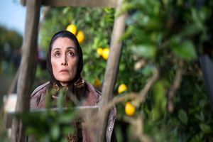 روزهای نارنجی به شبکه نمایش خانگی آمد