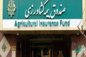 پرداخت ۱۵ هزار میلیارد ریال غرامت به کشاورزان خسارت دیده