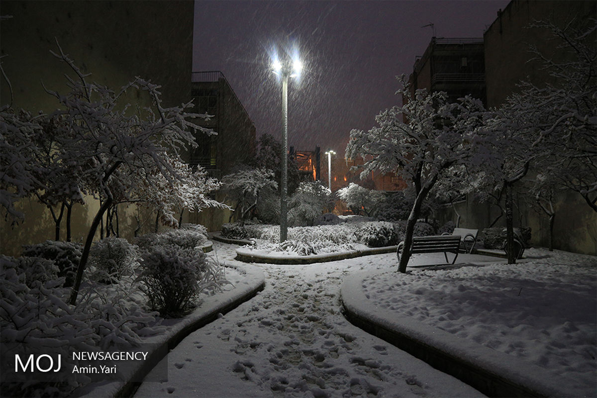 بارش برف تهران را سپیدپوش کرد