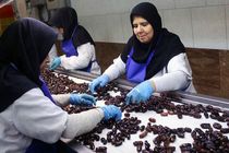 اختصاص تسهیلات به واحد‌های صنایع بسته‌بندی و فرآوری هرمزگان