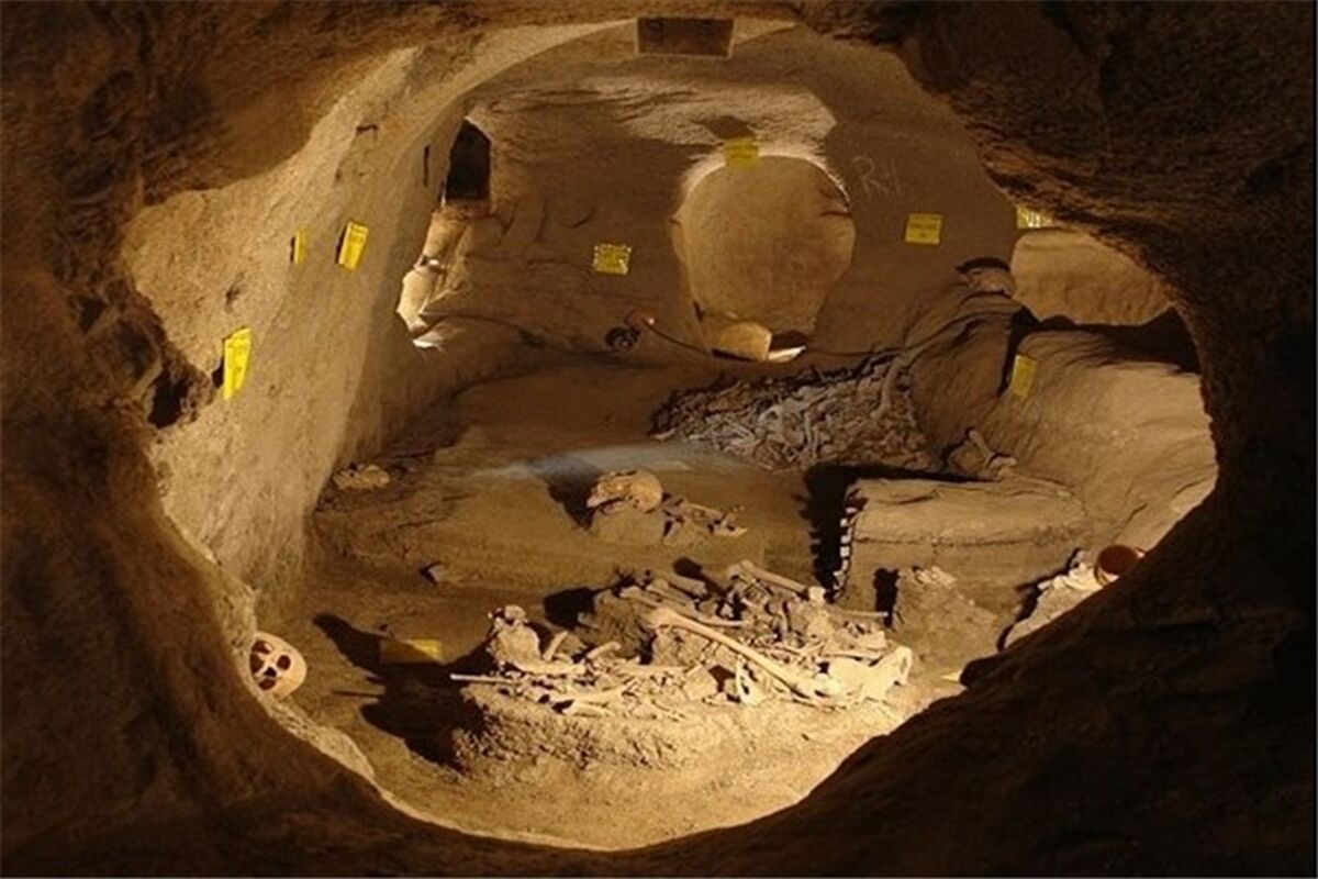 ارزانفود