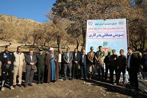 تداوم پویش مردمی بذرکاری با هدف احیاء جنگل های زاگرس در استان ایلام