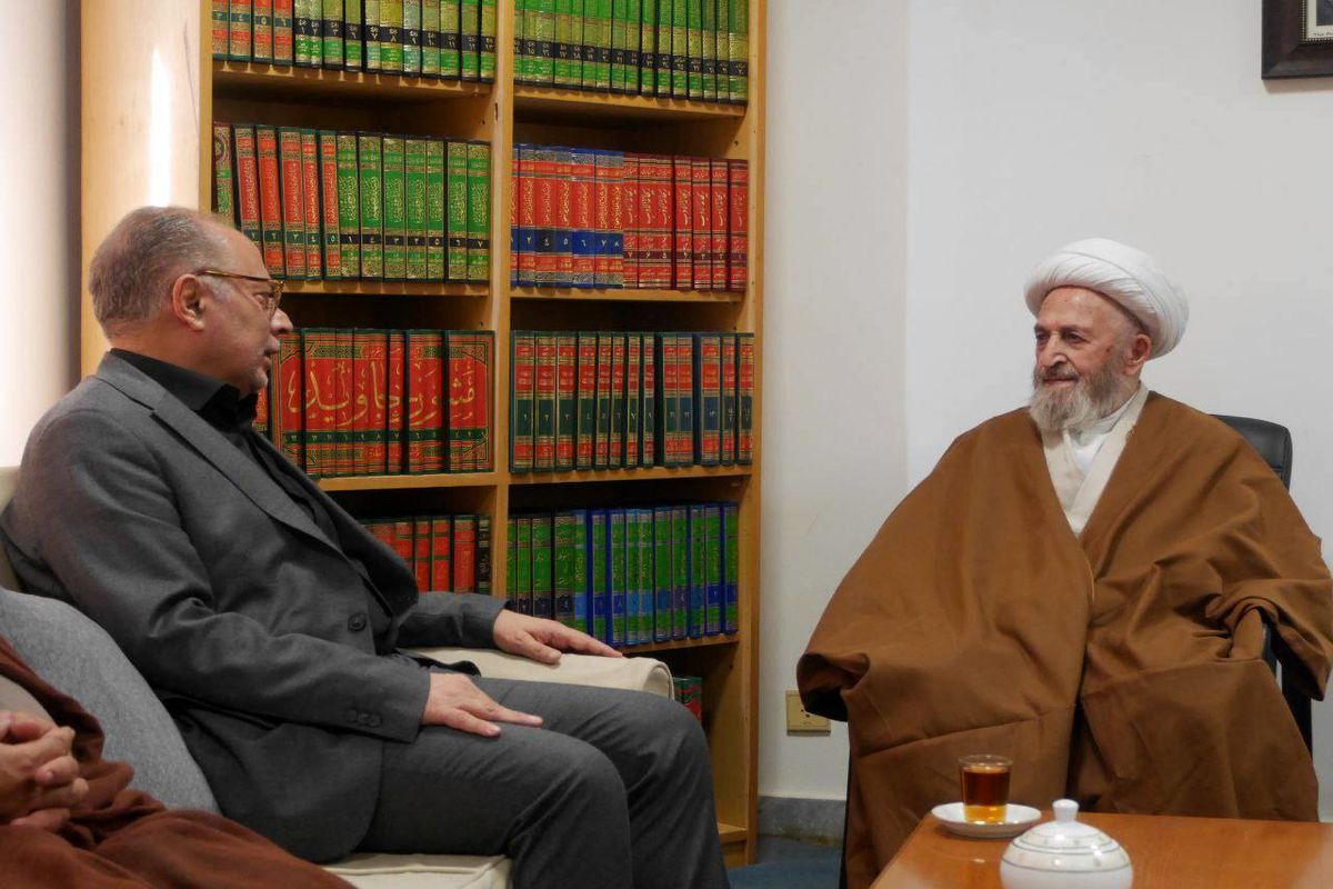 آیت الله سبحانی در دیدار با معاون پارلمانی رئیس جمهور