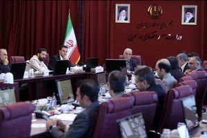 شورای ملی تأمین مالی با ۱۷ جلسه، ۹۰٪ مقررات قانونی را نهایی کرد