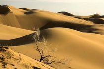 عامل اصلی پدیده گرد و غبار در خراسان رضوی خشکسالی است