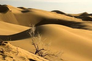 عامل اصلی پدیده گرد و غبار در خراسان رضوی خشکسالی است