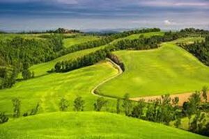 مدیرکل منابع طبیعی مازندران منابع طبیعی را سرمایه‌ای الهی و پایه توسعه پایدار دانست