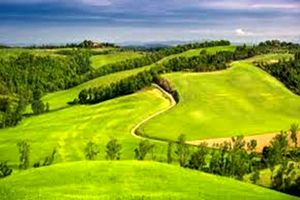 خرید و فروش اراضی جنگلی و ملی ممنوع است/ برخورد قضایی با تبلیغات سودجویان در فضای مجازی