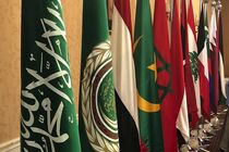 اتحادیه عرب خواستار واکنش  جامعه جهانی برای توقف تجاوز به غزه شد