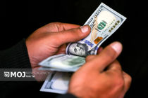 جدیدترین قیمت ارزها در بازار آزاد امروز ۲۳ بهمن ۱۴۰۴