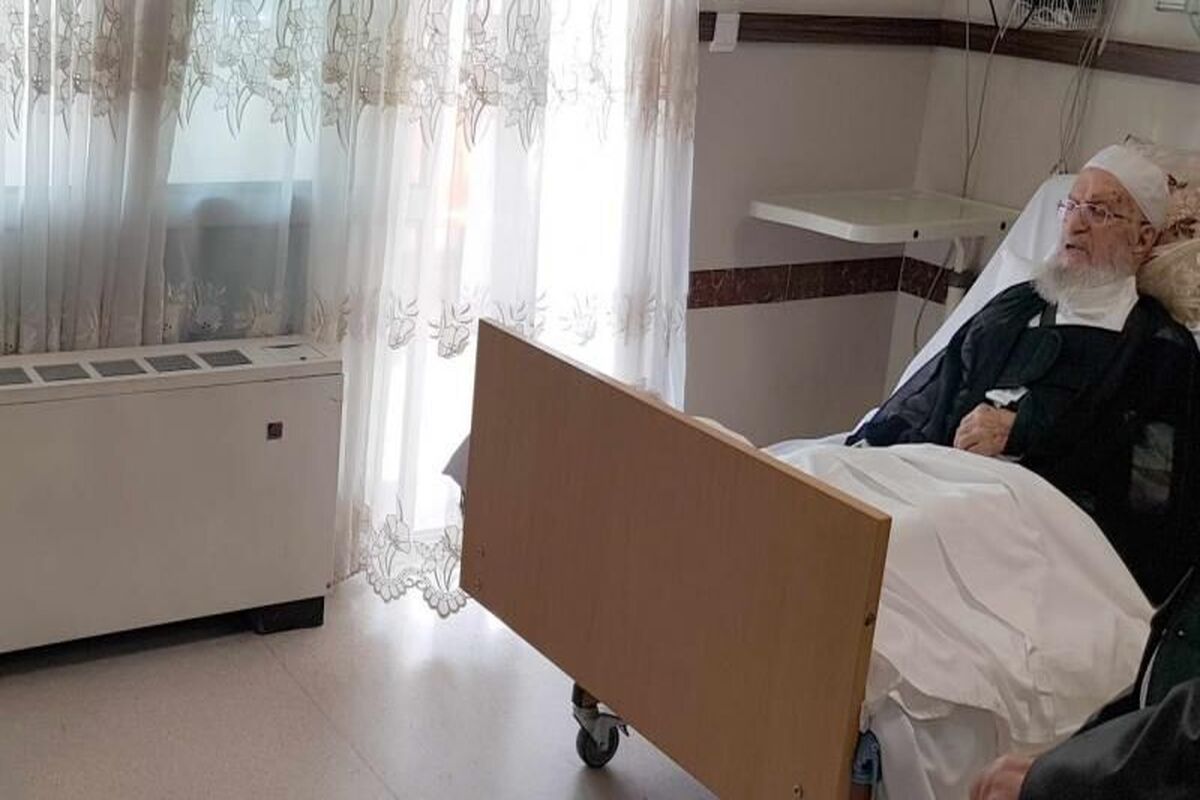 آیت‌الله مکارم شیرازی